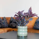 Gretl By We Rent * Zell am See