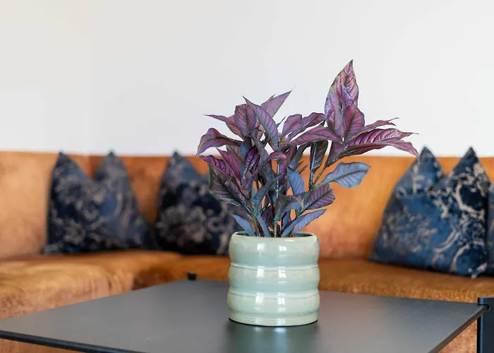 Gretl By We Rent * Zell am See